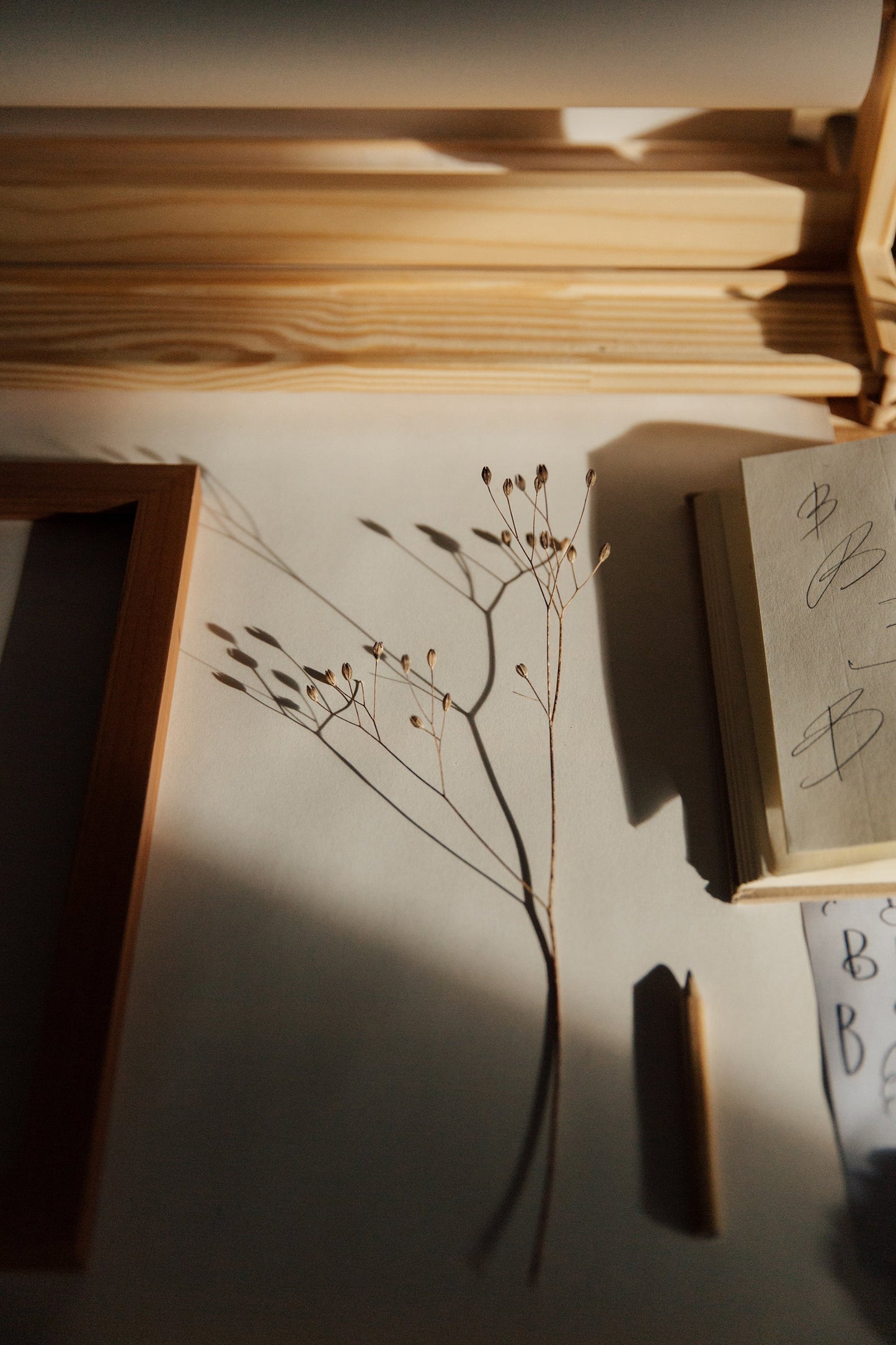 Study & Sketch Evening | 10 NOV