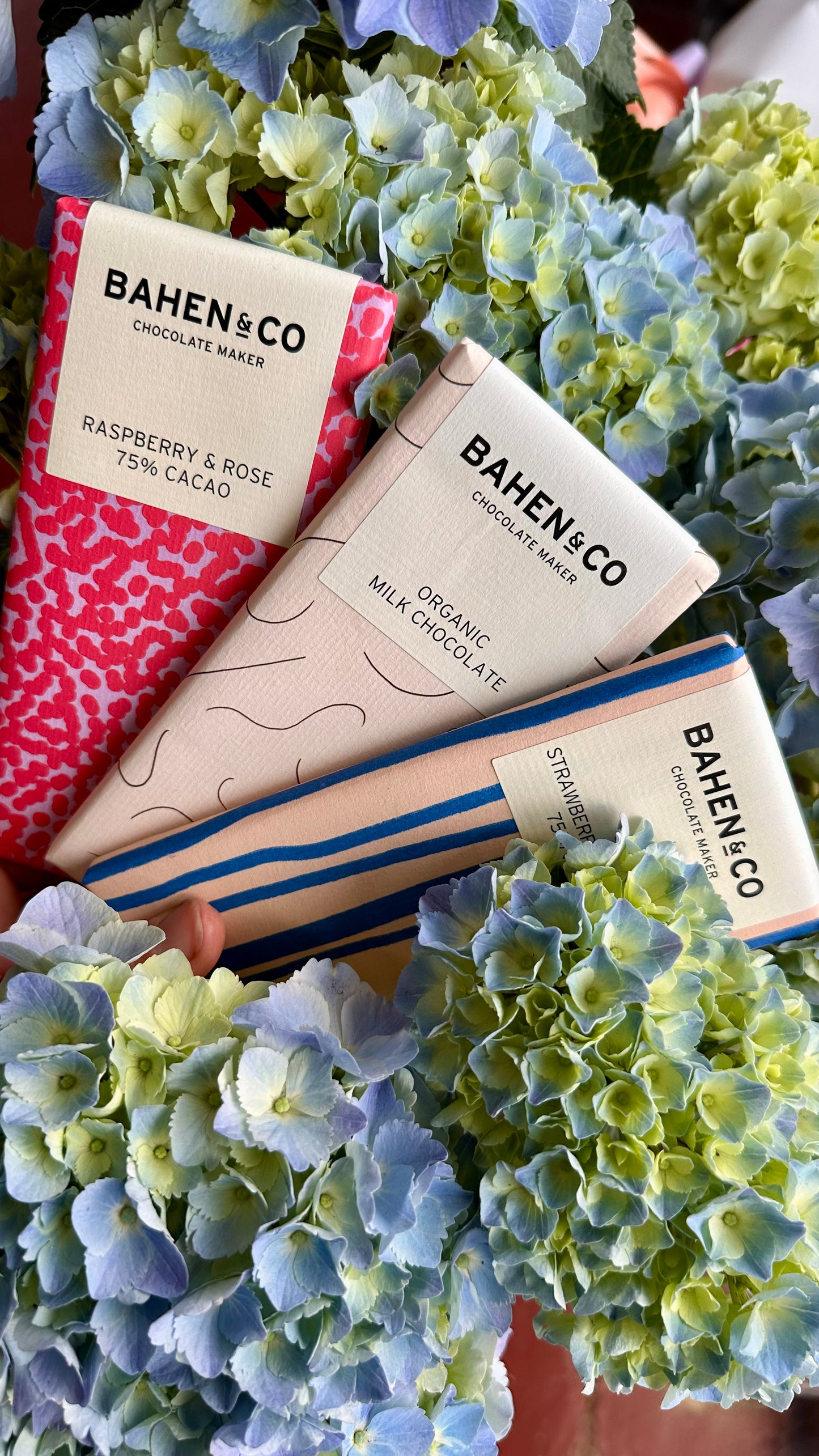 Hydy Plant + Organic Choc